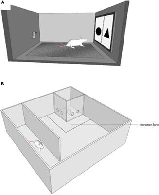 Trauma Disrupts Reinforcement Learning in Rats—A Novel Animal Model of Chronic Stress Exposure